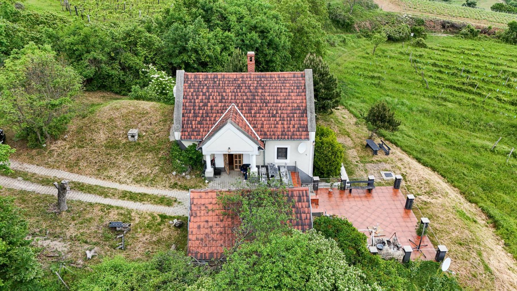 Borospince Vendégház Pécsely Exteriér fotografie