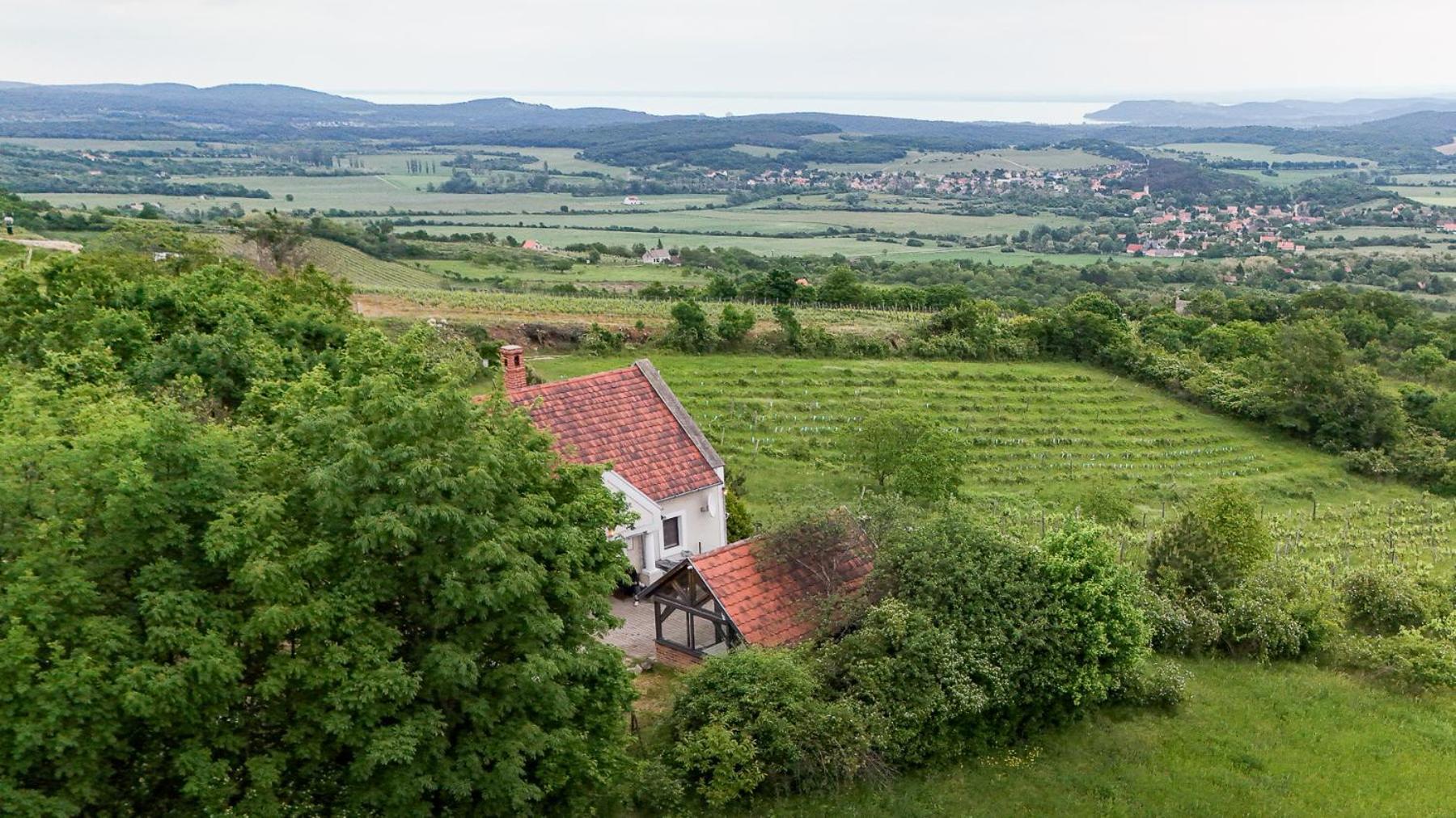 Borospince Vendégház Pécsely Exteriér fotografie