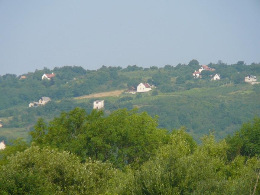 Borospince Vendégház Pécsely Exteriér fotografie